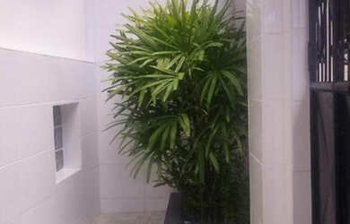 Imagem 4: Casa na federação a venda