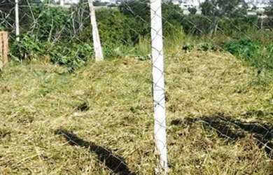 Imagem: O terreno possui 150m² de Área e está localizado em Jardim