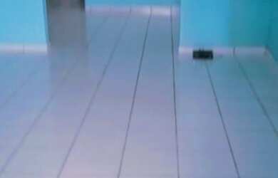 Imagem: A casa possui 3 Dormitórios, 2 Banheiros, 1 Vaga na garagem