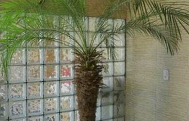 Imagem 6: Casa em Condomínio para Venda em Ponte dos Leites Araruama-RJ