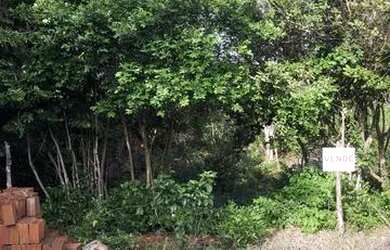 Imagem: O terreno possui 300m² de Área e está localizado em Pipa