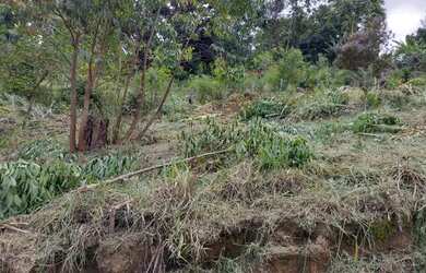 Imagem 9: Terreno. 400m² de Área