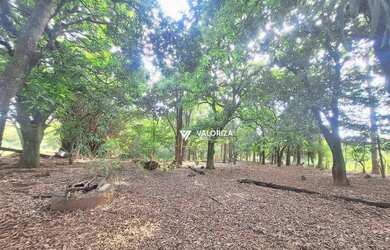 Imagem 7: Terreno à venda, 4872 m² por R$ 2.192.000,00 - Vivendas Do Lago - Sorocaba/SP