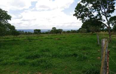 Imagem 5: Fazenda de 625 Hectares de Terras de Cultura e Cerrado Vermelho, Muita...