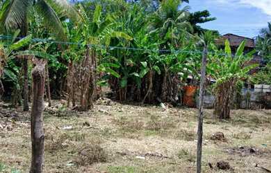 Imagem 5: Lote de 200 m² em Morro de São Paulo