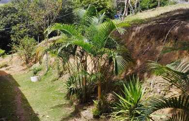 Imagem 10: Terreno urbano. 3.198m² de Área