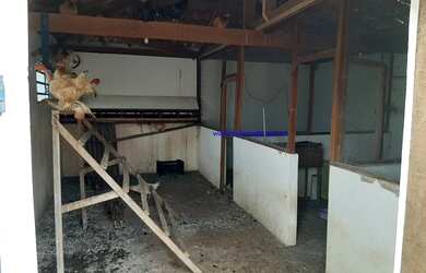 Imagem 14: Sitio 22 Alqueires - Bairro Areia Branca - Quadra - Aceita Permuta na...