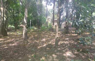 Imagem 10: Lote/Terreno para venda tem 5680 metros quadrados em Jardim Itaipu - Goiânia...