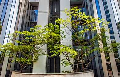 Imagem: O depósito possui 5 Vagas na garagem, 1.009m² de Área e