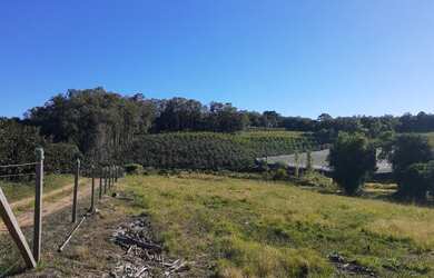 Imagem 4: Chácara Terceira Légua