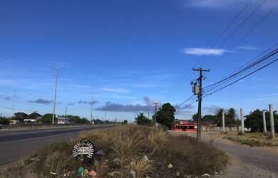 Imagem 2: Terreno Comercial na BR 304