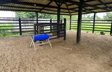 Imagem 12: Vendo exelente Fazenda em São Gonçalo porteira fechada