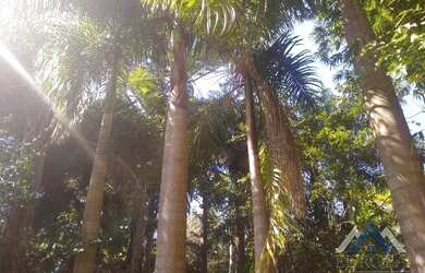 Imagem 9: Terreno à venda, 4500 m² por R$ 180.000,00 - Água do Pari - Jataizinho/PR