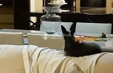 Imagem: A casa possui 3 Dormitórios, 2 Banheiros, 230m² de Área e