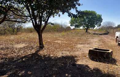 Imagem 8: Fazenda arrendamento 700hec pra abrir em aliança do Tocantins TO