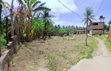 Imagem 4: Lote de 200 m² em Morro de São Paulo