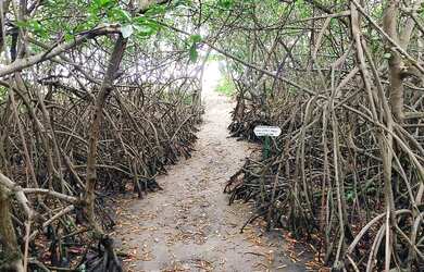 Imagem 6: Alugo uma casa na barra de santo Antônio na ilha da croa por temporada