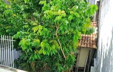 Imagem 14: VENDO CASA NA PEDREIRA, 200M², 4 SUÍTES, 2 VAGAS