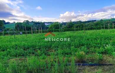 Imagem 14: Sítio em Centro - Centro - São Miguel Arcanjo/SP