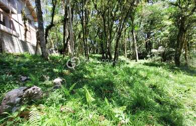 Imagem 12: TERRENO EM CONDOMINIO FECHADO EM CANELA