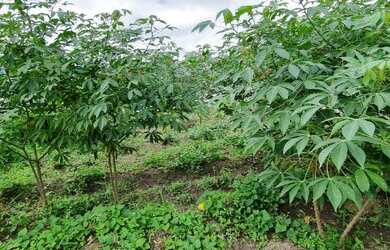 Imagem 3: Terreno para venda tem 171 metros quadrados em condomínio