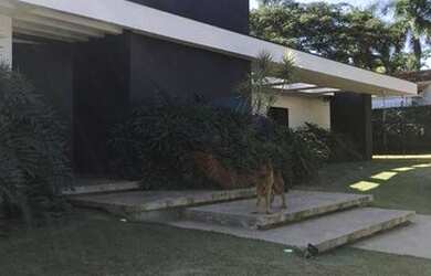 Imagem 5: Chácara com 5 dormitórios, 5000 m² - venda por R$ 6.000.000,00 ou aluguel...