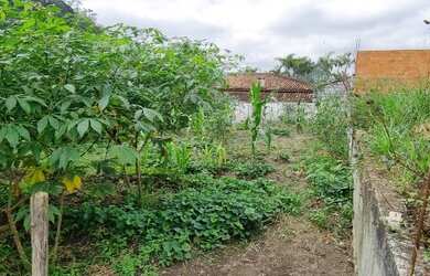 Imagem: O terreno à venda possui e está localizado em Ipelândia