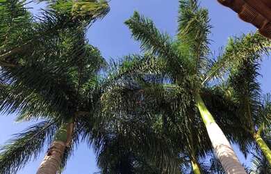 Imagem 15: Casa, 250 m² - venda por R$ 2.200.000,00 ou aluguel por R$ 10.000,00/mês...