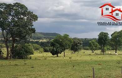 Imagem: A fazenda está localizado em Engenheiro Carlos de Lacerda Chaves