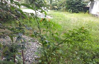 Imagem 1: Terreno no PORTAL DO SOL, preço de OPORTUNIDADE de R$ 250mil por R$ 220mil