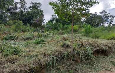 Imagem 5: Terreno. 400m² de Área