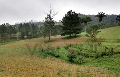 Imagem 6: Juquitiba - RURAL - Juquitiba