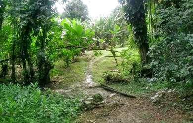 Imagem: O terreno possui 65m² de Área e está localizado em Santa