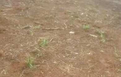 Imagem 4: Terreno Terreno / lote com venda por R$80.000