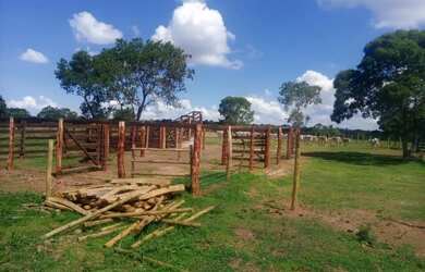 Imagem 10: Fazenda de 625 Hectares de Terras de Cultura e Cerrado Vermelho, Muita...