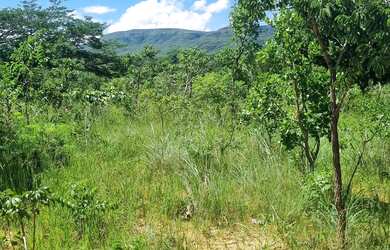 Imagem 12: Sitio 22 hectares valor 195.000