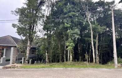 Imagem 6: Terreno - Bairro Carniel. 390m² de Área