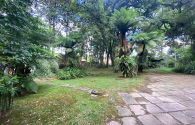 Imagem 13: Area - Bairro Vila Luiza