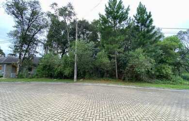 Imagem 3: Terreno - Bairro Carniel. 390m² de Área