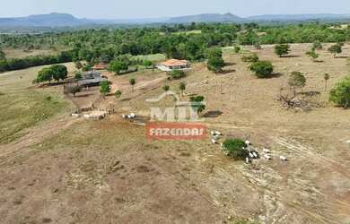 Imagem: A fazenda possui 500m² de Área e está localizado em Crixás