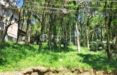 Imagem 10: TERRENO EM CONDOMINIO FECHADO EM CANELA