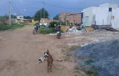 Imagem 1: Vendo terreno 11 por 20. 