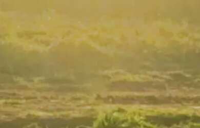 Imagem: O terreno possui 1.000m² de Área e está localizado em Araçoiaba