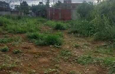 Imagem 3: Vendo meio lote. 80m² de Área