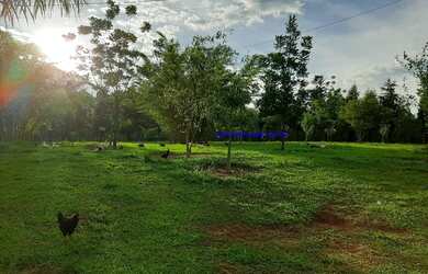 Imagem 7: Sitio 22 Alqueires - Bairro Areia Branca - Quadra - Aceita Permuta na...