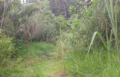 Imagem 5: Terreno em Condomínio para Venda em Mangaratiba, Condominio Portobello