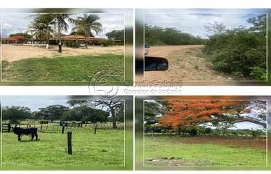 Imagem: A fazenda possui 38.850.000m² de Área e está localizado