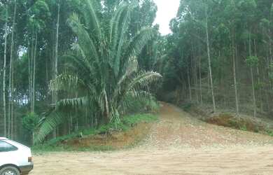 Imagem: A chácara possui 38.700m² de Área e está localizado em