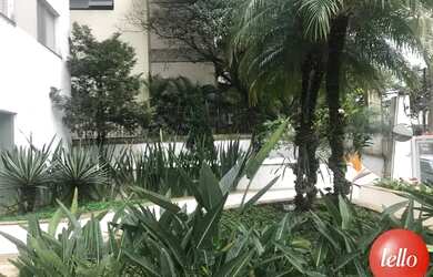 Imagem 8: São Paulo - Apartamento Padrão - Moema