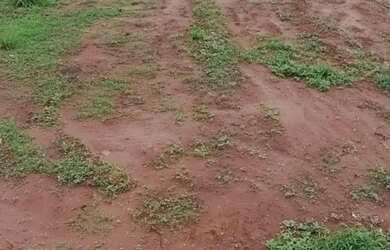 Imagem: Vende.se chácara